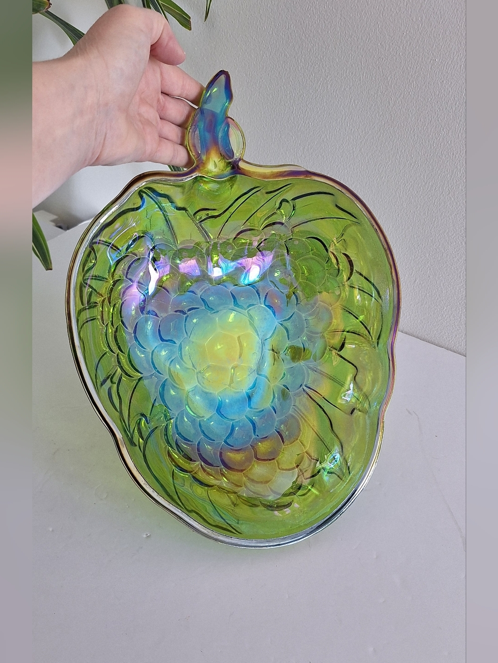 Carnival salad bowl